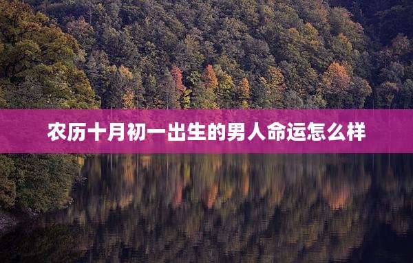 农历十月初一出生的男人命运怎么样
