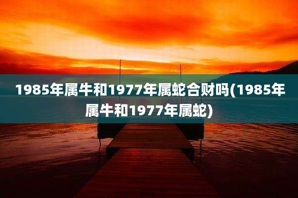 1985年属牛和1977年属蛇合财吗(1985年属牛和1977年属蛇)