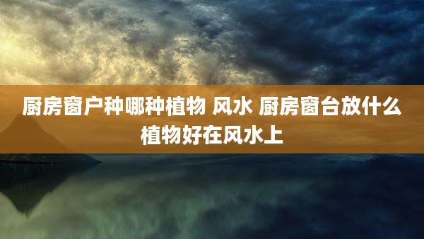 厨房窗户种哪种植物 风水 厨房窗台放什么植物好在风水上