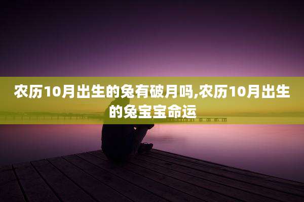 农历10月出生的兔有破月吗,农历10月出生的兔宝宝命运