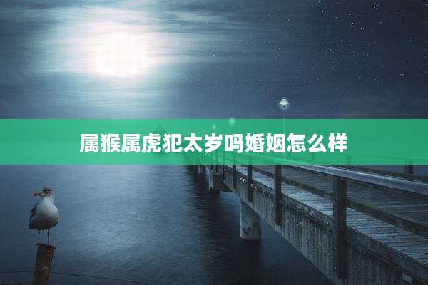 属猴属虎犯太岁吗婚姻怎么样