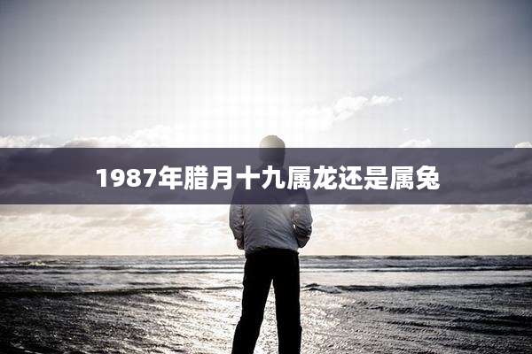 1987年腊月十九属龙还是属兔