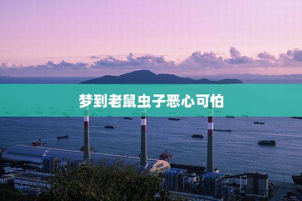 梦到老鼠虫子恶心可怕