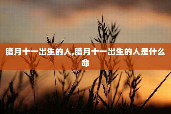 腊月十一出生的人,腊月十一出生的人是什么命