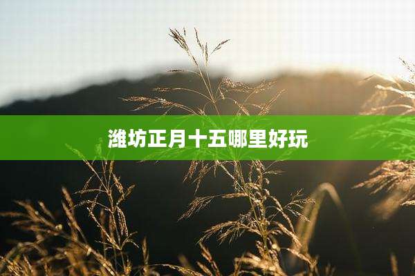 潍坊正月十五哪里好玩