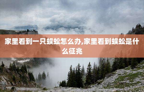 家里看到一只蜈蚣怎么办,家里看到蜈蚣是什么征兆