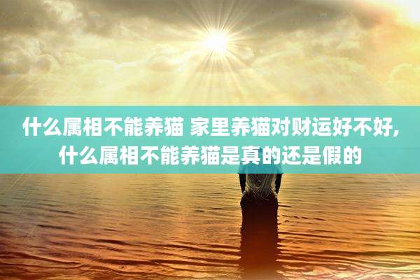 什么属相不能养猫 家里养猫对财运好不好,什么属相不能养猫是真的还是假的