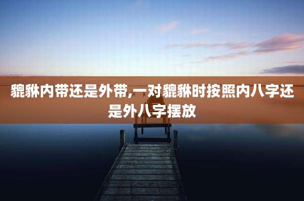 貔貅内带还是外带,一对貔貅时按照内八字还是外八字摆放