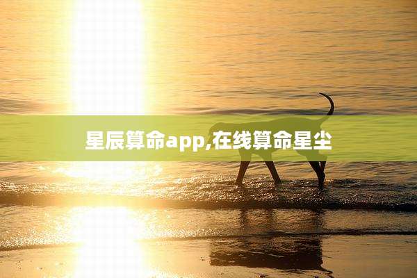 星辰算命app,在线算命星尘