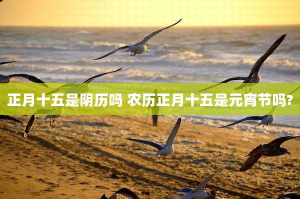 正月十五是阴历吗 农历正月十五是元宵节吗?