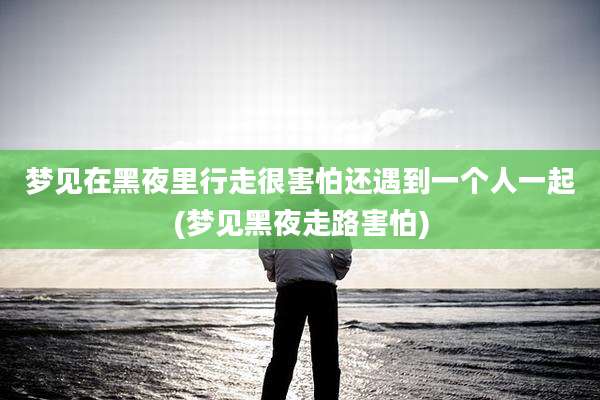 梦见在黑夜里行走很害怕还遇到一个人一起(梦见黑夜走路害怕)