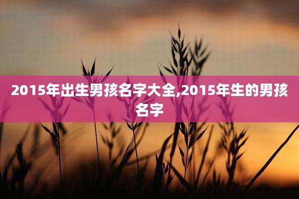 2015年出生男孩名字大全,2015年生的男孩名字