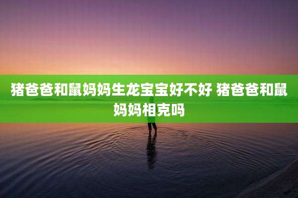 猪爸爸和鼠妈妈生龙宝宝好不好 猪爸爸和鼠妈妈相克吗