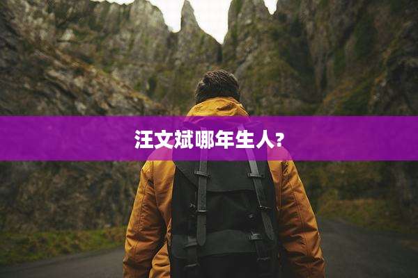 汪文斌哪年生人?