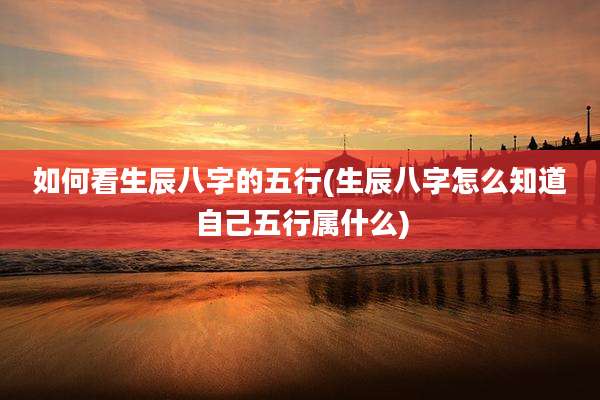 如何看生辰八字的五行(生辰八字怎么知道自己五行属什么)