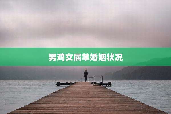 男鸡女属羊婚姻状况