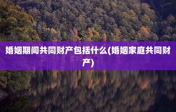 婚姻期间共同财产包括什么(婚姻家庭共同财产)