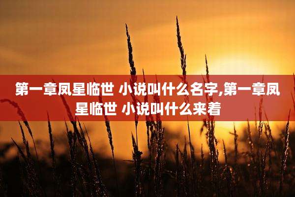 第一章凤星临世 小说叫什么名字,第一章凤星临世 小说叫什么来着