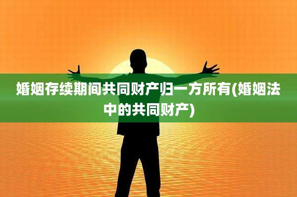 婚姻存续期间共同财产归一方所有(婚姻法中的共同财产)