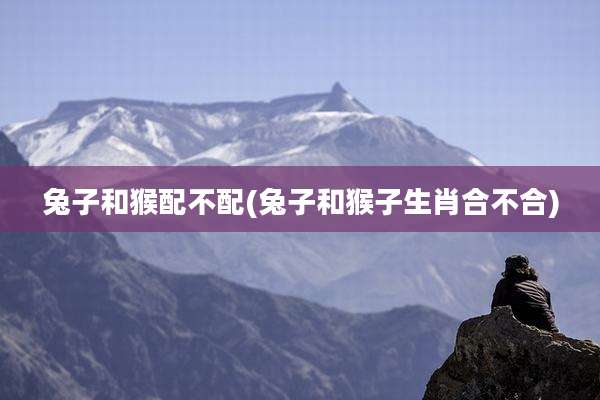 兔子和猴配不配(兔子和猴子生肖合不合)
