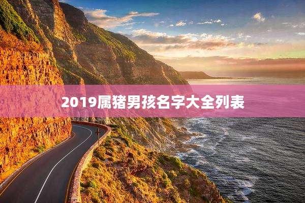 2019属猪男孩名字大全列表