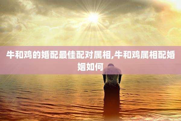 牛和鸡的婚配最佳配对属相,牛和鸡属相配婚姻如何