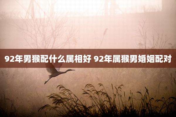 92年男猴配什么属相好 92年属猴男婚姻配对
