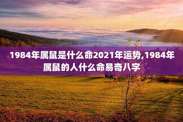 1984年属鼠是什么命2021年运势,1984年属鼠的人什么命易奇八字