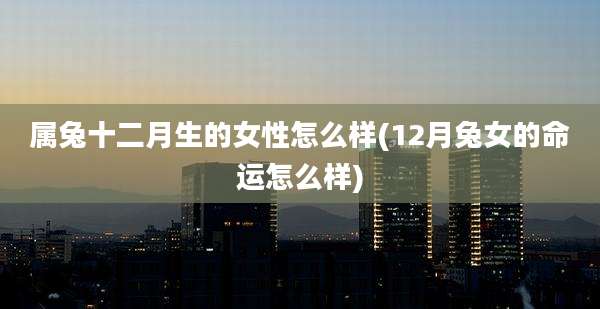属兔十二月生的女性怎么样(12月兔女的命运怎么样)