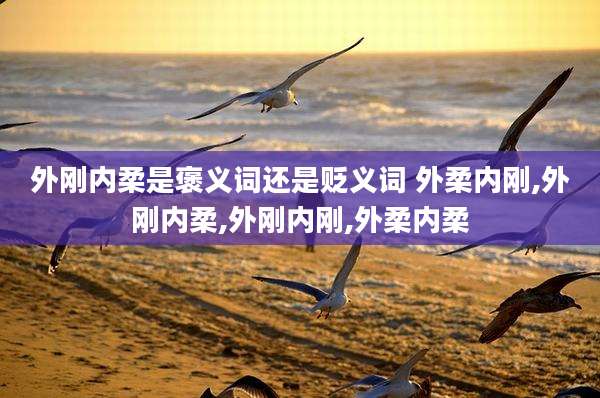 外刚内柔是褒义词还是贬义词 外柔内刚,外刚内柔,外刚内刚,外柔内柔