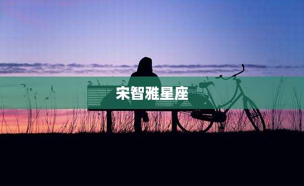 宋智雅星座