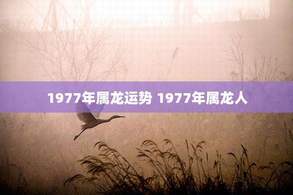 1977年属龙运势 1977年属龙人