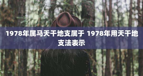 1978年属马天干地支属于 1978年用天干地支法表示