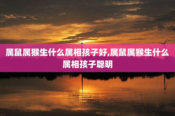 属鼠属猴生什么属相孩子好,属鼠属猴生什么属相孩子聪明