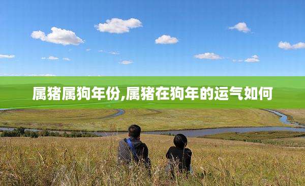 属猪属狗年份,属猪在狗年的运气如何