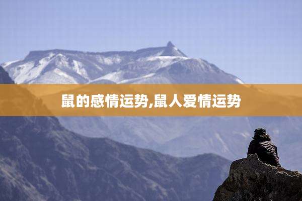 鼠的感情运势,鼠人爱情运势