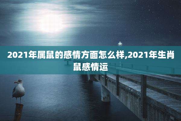 2021年属鼠的感情方面怎么样,2021年生肖鼠感情运