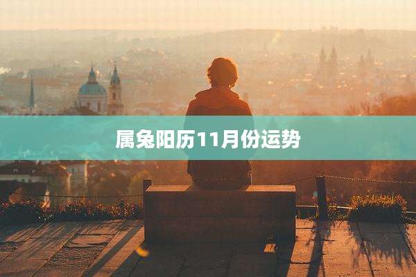 属兔阳历11月份运势
