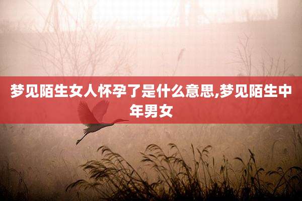 梦见陌生女人怀孕了是什么意思,梦见陌生中年男女