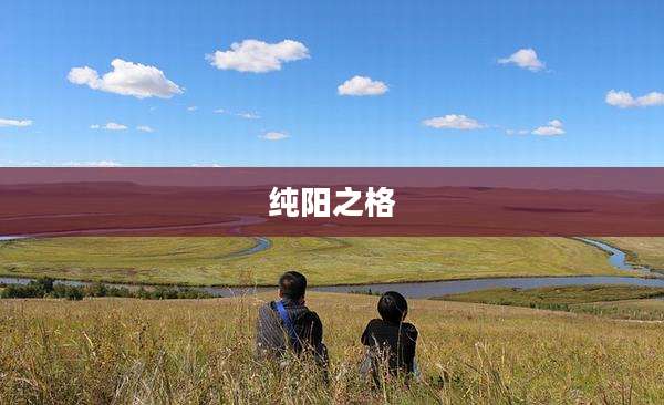 纯阳之格