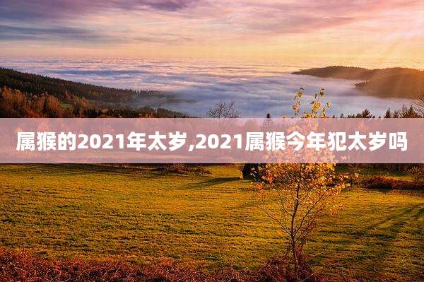 属猴的2021年太岁,2021属猴今年犯太岁吗