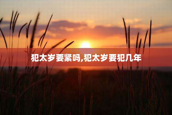 犯太岁要紧吗,犯太岁要犯几年