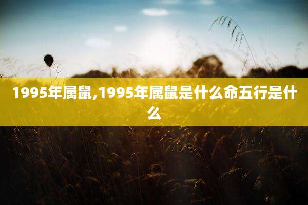 1995年属鼠,1995年属鼠是什么命五行是什么