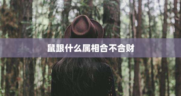 鼠跟什么属相合不合财