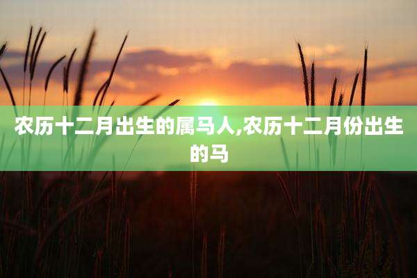 农历十二月出生的属马人,农历十二月份出生的马