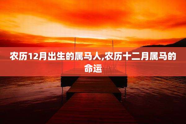 农历12月出生的属马人,农历十二月属马的命运