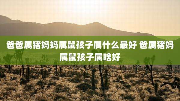 爸爸属猪妈妈属鼠孩子属什么最好 爸属猪妈属鼠孩子属啥好