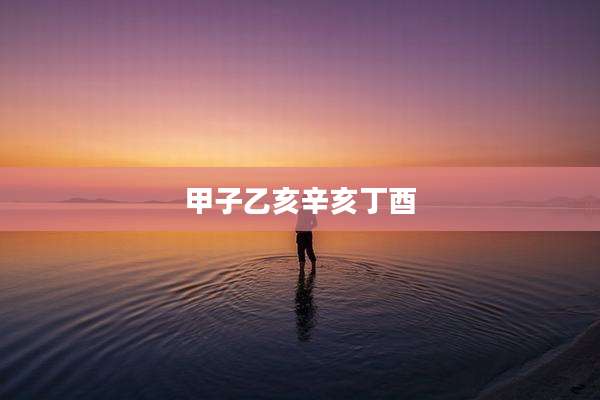 甲子乙亥辛亥丁酉