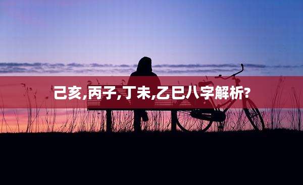 己亥,丙子,丁未,乙巳八字解析?