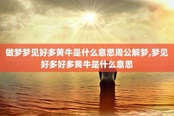做梦梦见好多黄牛是什么意思周公解梦,梦见好多好多黄牛是什么意思